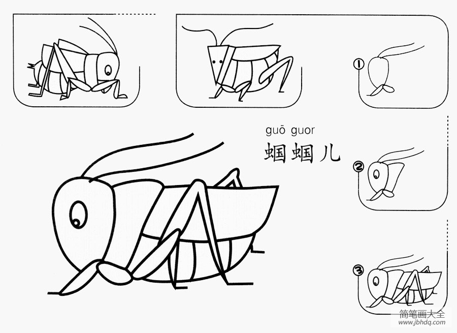 蝈蝈怎么画