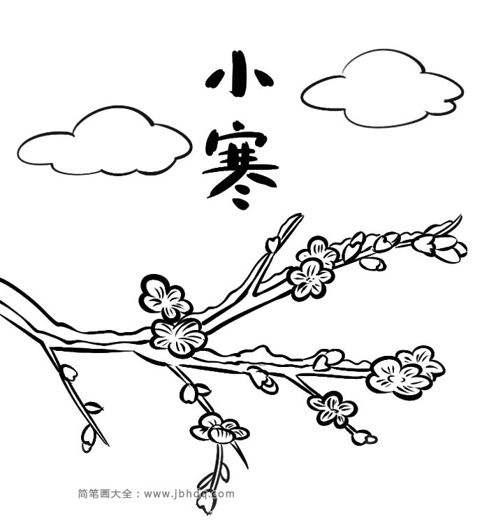 二十四节气小寒：梅花简笔画