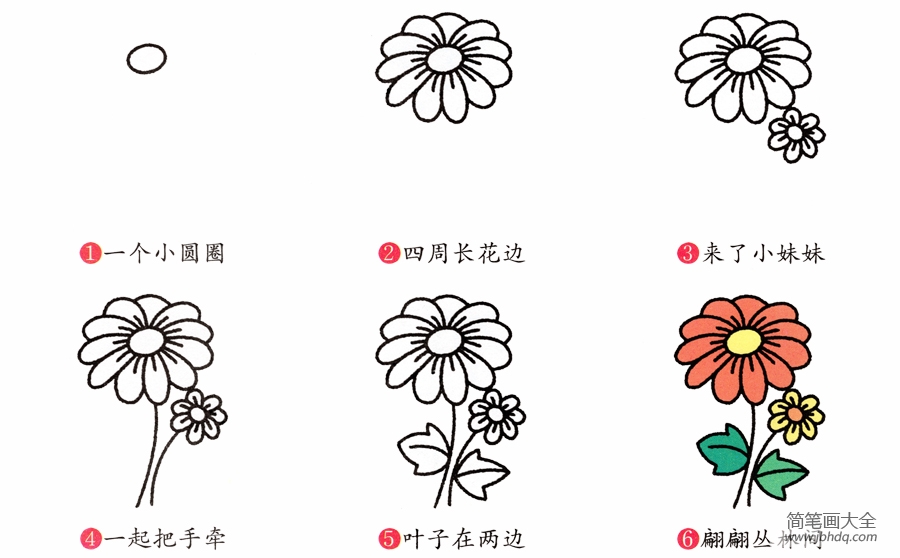 菊花简笔画画法