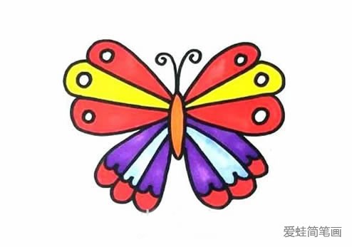 彩色的蝴蝶简笔画