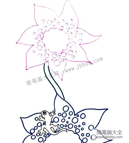 2.画出蜥蜴身体下面的花儿，花儿画得大了些可以画到纸面外面。