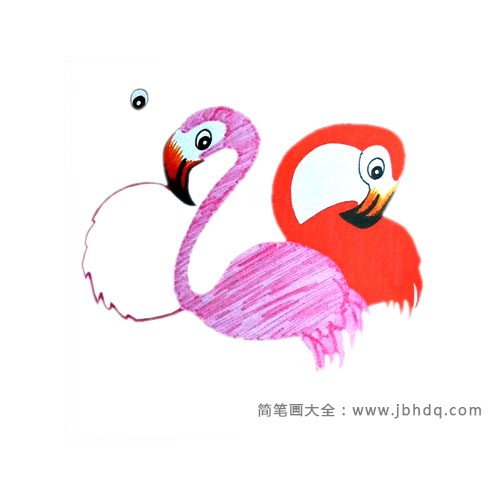 2.画出另一只火烈鸟，低头的，涂上红色与第一只有所区别。