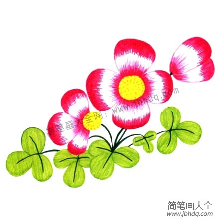 3.画出全部花瓣，画出花茎并把叶子联系起来，完善画中的花。