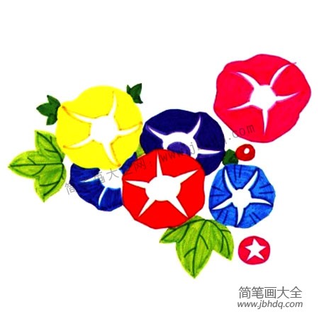 3.为喇叭花加上花叶，绿色的深浅有变化。