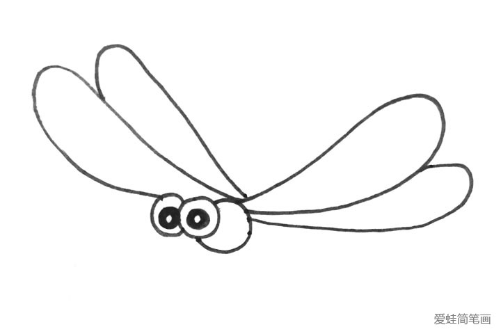 3.在眼睛后边的圆上面画两个翅膀。