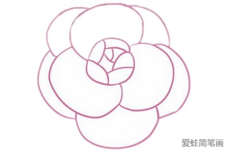 山茶花简笔画