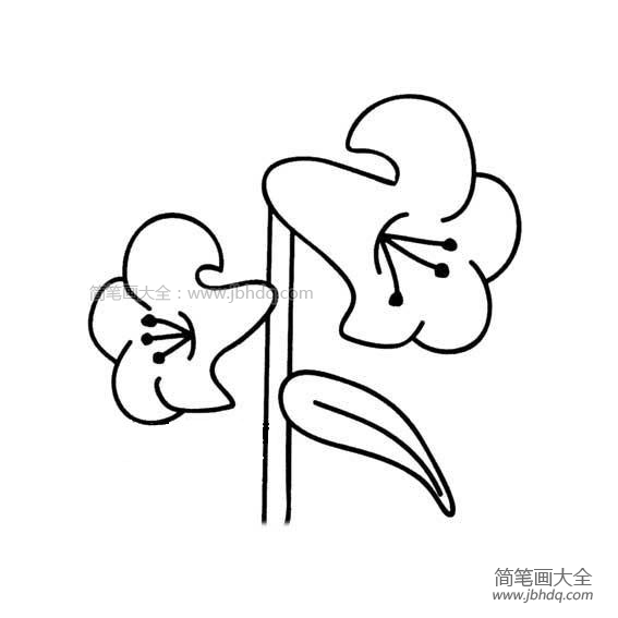 教师节礼物之百合花