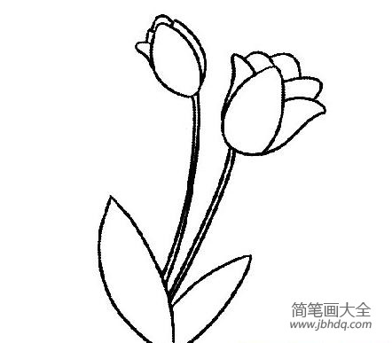 各种花简笔画大全 各种各样的花简笔画