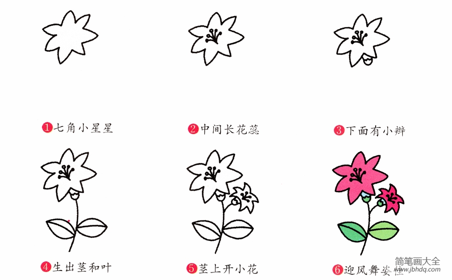 百合花简笔画画法