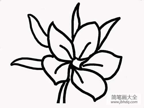 樱花简笔画画法