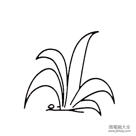 花草简笔画大全 简笔画大全花草类