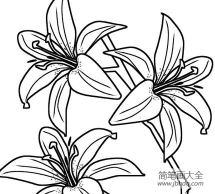 幼儿园花朵简笔画 可爱花朵简笔画