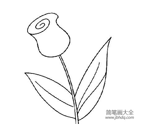 花朵的简笔画 花朵图片简笔画