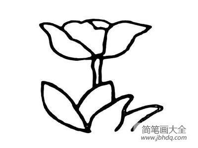 美丽花朵简笔画 花朵图片简笔画