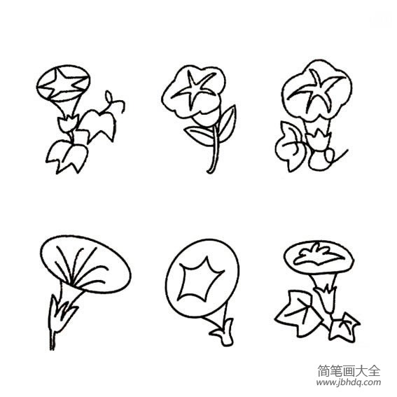 花朵简笔画 牵牛花简笔画图片大全