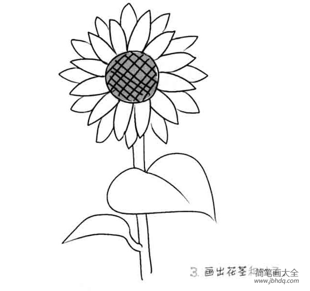 儿童花朵简笔画向日葵