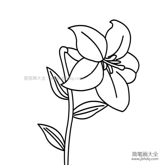 教师节礼物之百合花