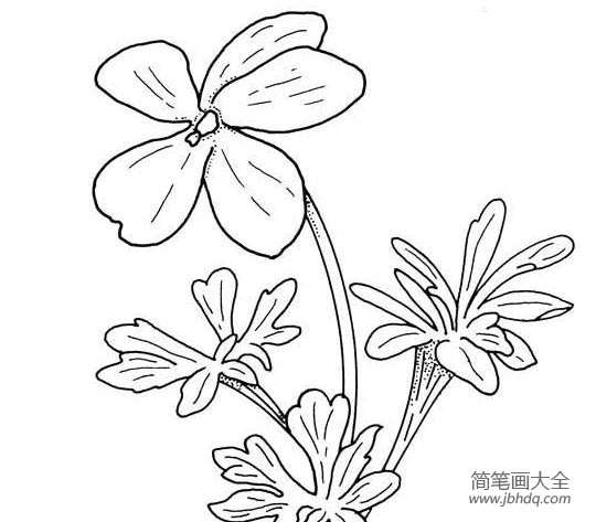 卡通花朵简笔画大全 漂亮的花朵简笔画大全