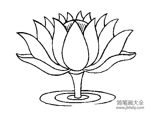 花朵简笔画 简单的花朵简笔画