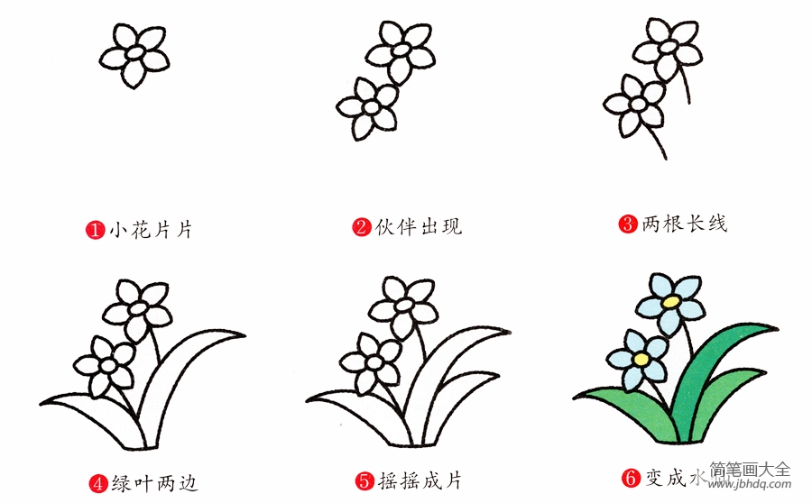 水仙花简笔画画法