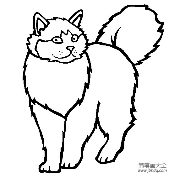 猫咪图片 简笔画布偶猫