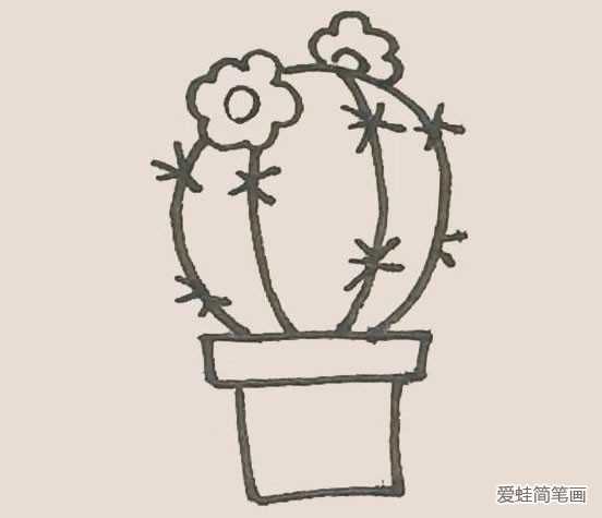 仙人球花简笔画