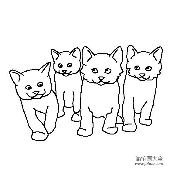 猫咪图片 一窝小猫简笔画