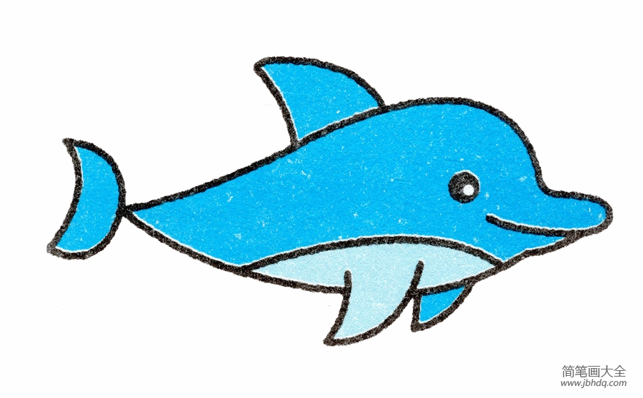 海豚简笔画画法
