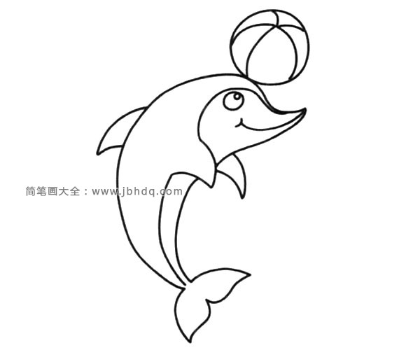 顶篮球的海豚