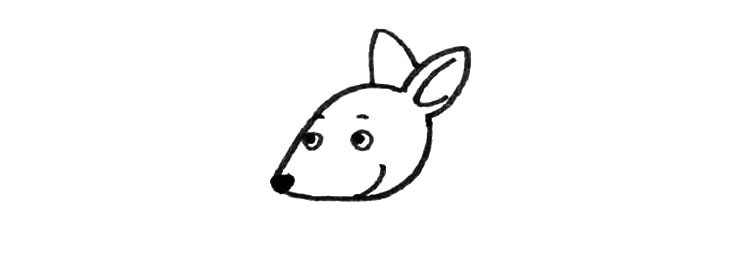 2.画上袋鼠的耳朵和五官。