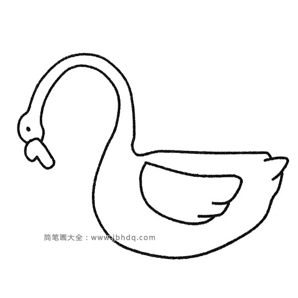 天鹅简笔画图片4