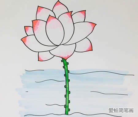 荷花简笔画步骤图解