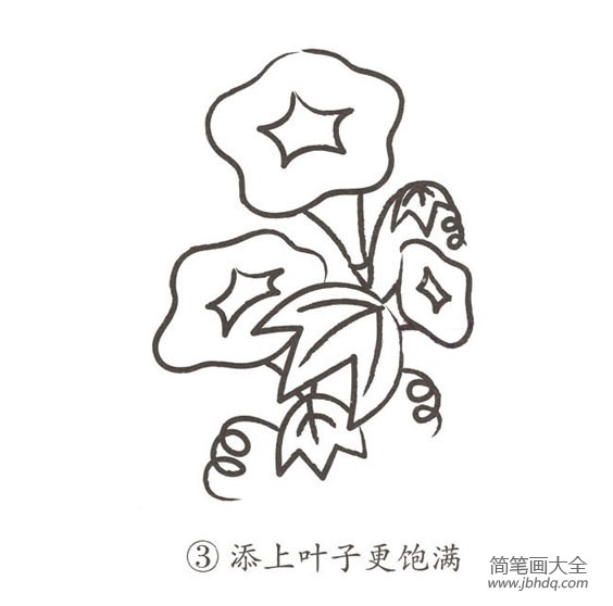 幼儿简笔画 牵牛花