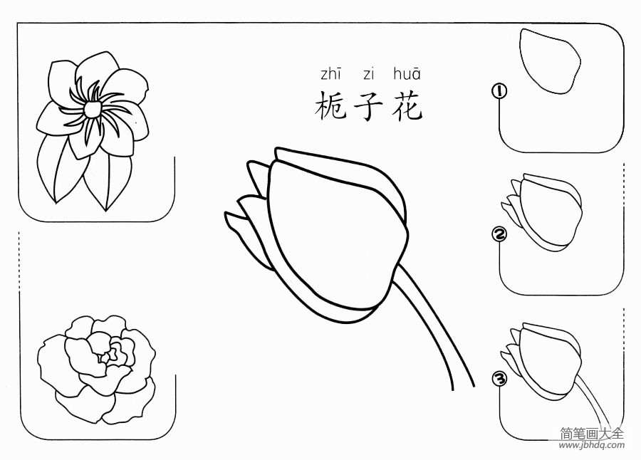 栀子花怎么画