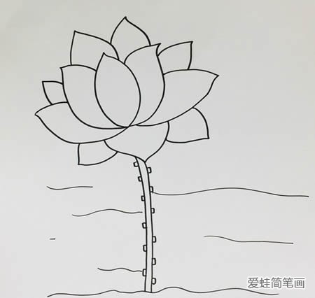 荷花简笔画步骤图解