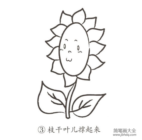 幼儿简笔画 向日葵