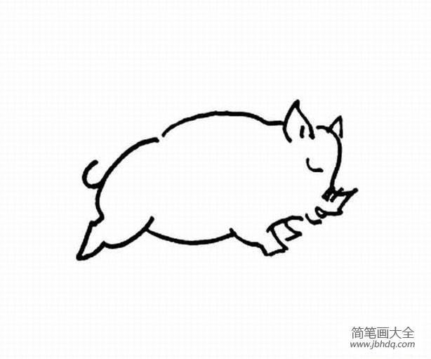 幼儿简笔画动物 小猪