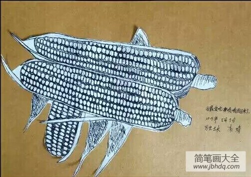 两只素描玉米,玉米优秀儿童画作品欣赏