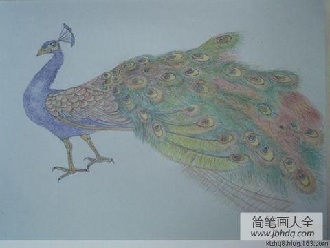 孔雀公主儿童画画作品