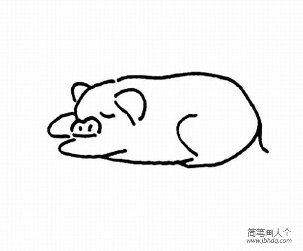 关于猪的简笔画图片