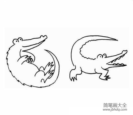 儿童动物简笔画鳄鱼