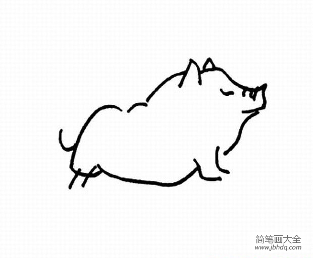 关于猪的简笔画图片