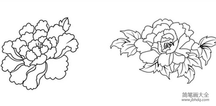 牡丹花朵简笔画 美丽的花朵简笔画