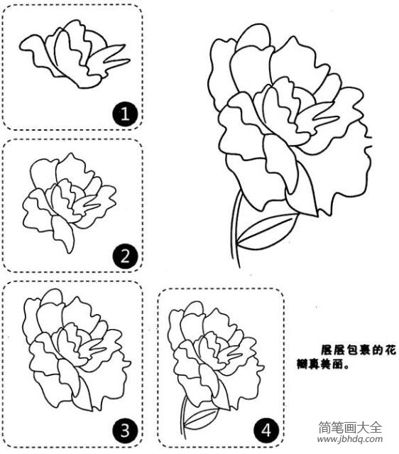 漂亮的牡丹花简笔画