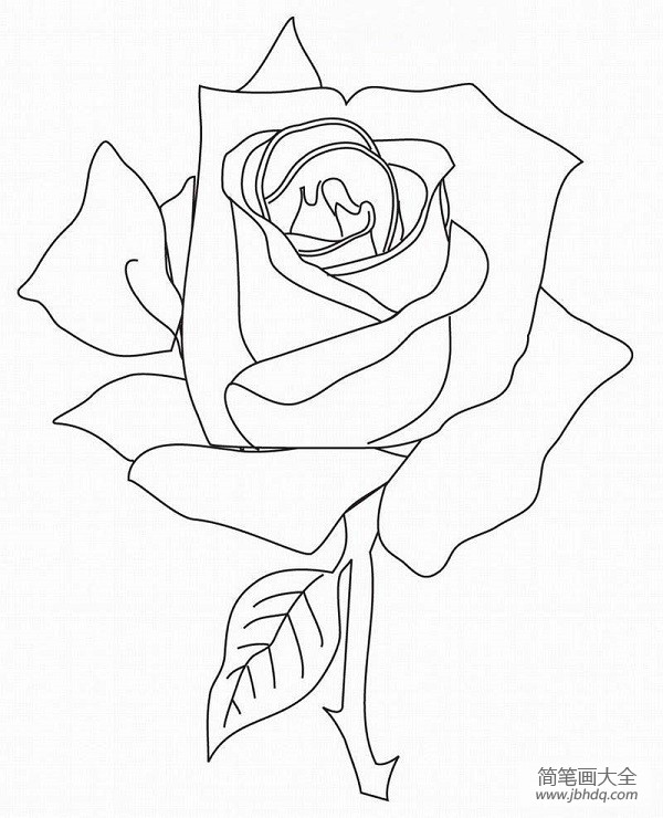 一朵大玫瑰花简笔画的画法