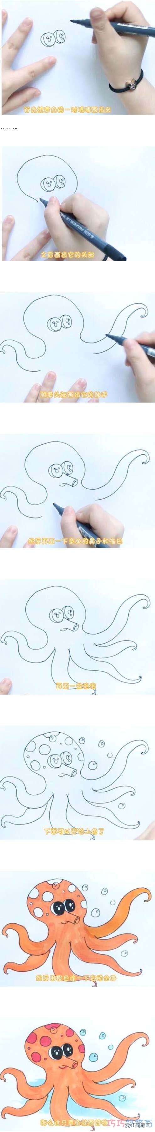 教你如何画章鱼简笔画