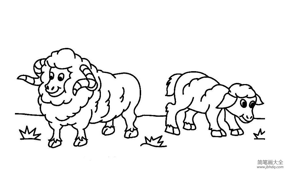 关于羊的简笔画图片