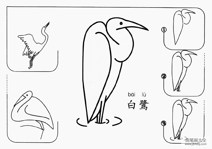 白鹭怎么画