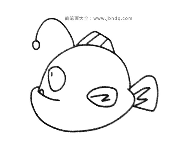 灯笼鱼简笔画图片6