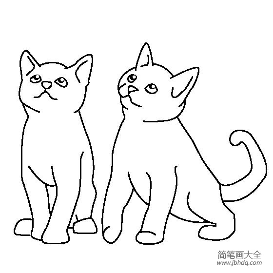 宠物小猫简笔画图片